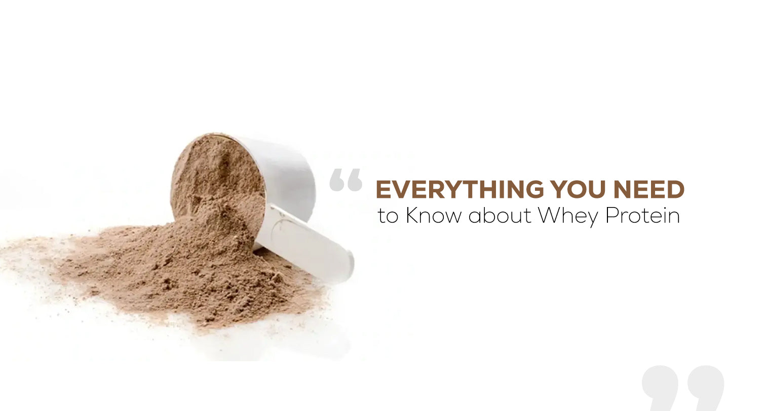 Everything You Need to Know about Whey Protein