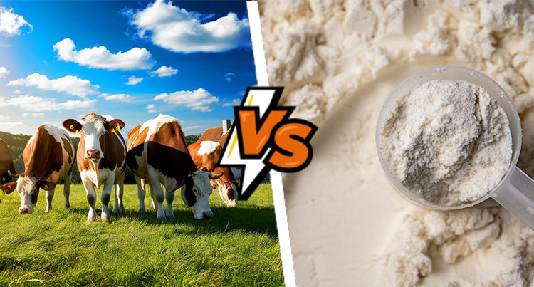 What’s the Difference Between Grass-Fed Whey Vs. Regular Whey?