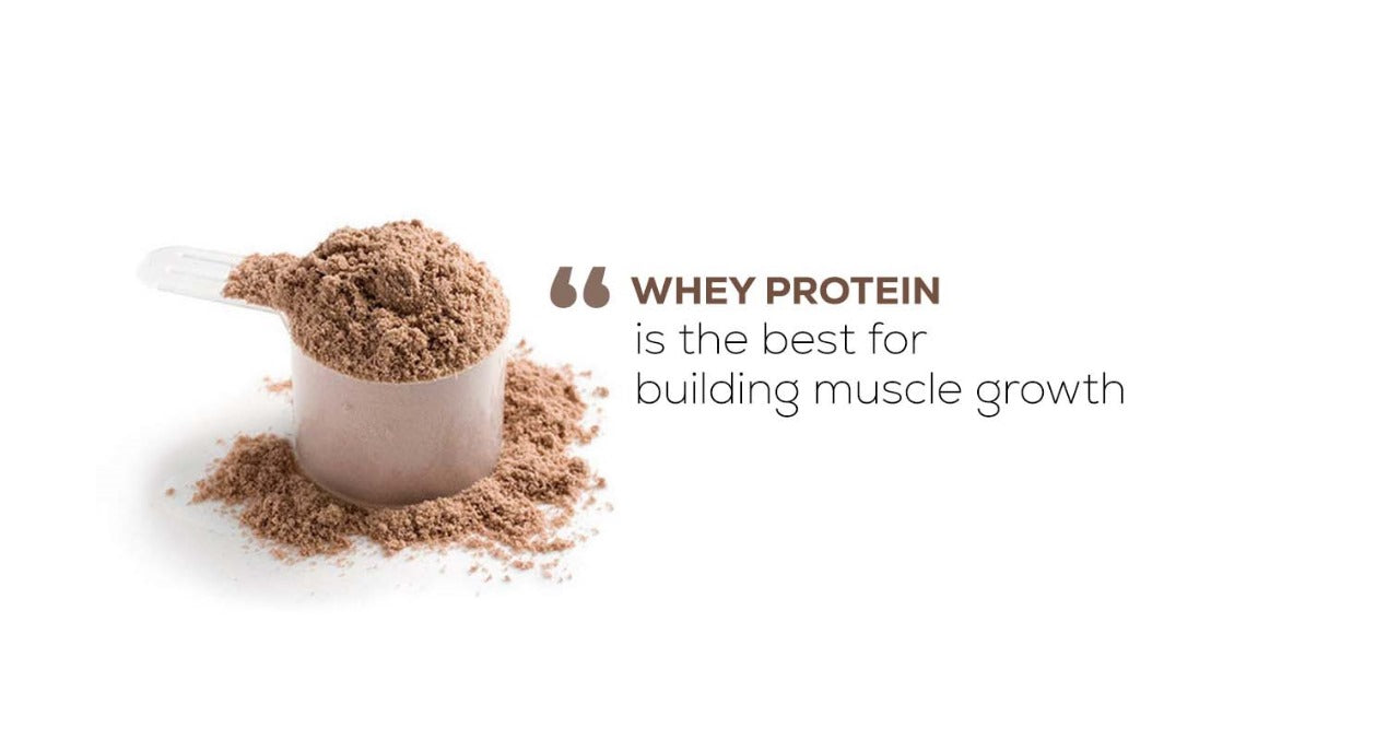 Whey Protein Is The Best For Building Muscles