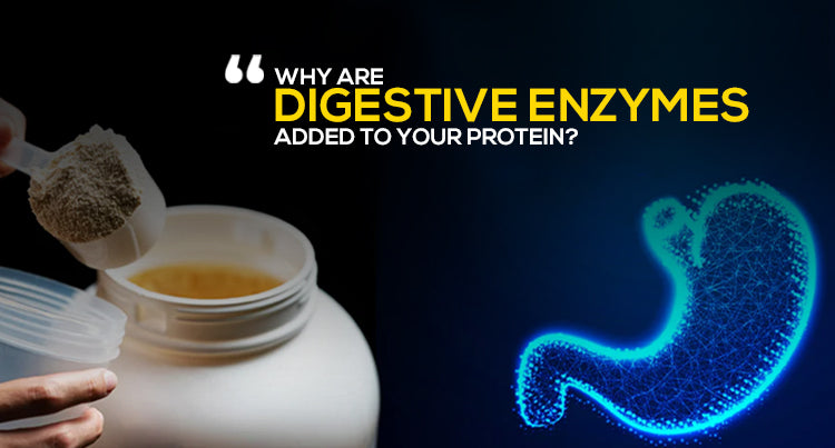 Why are digestive enzymes added to your protein?