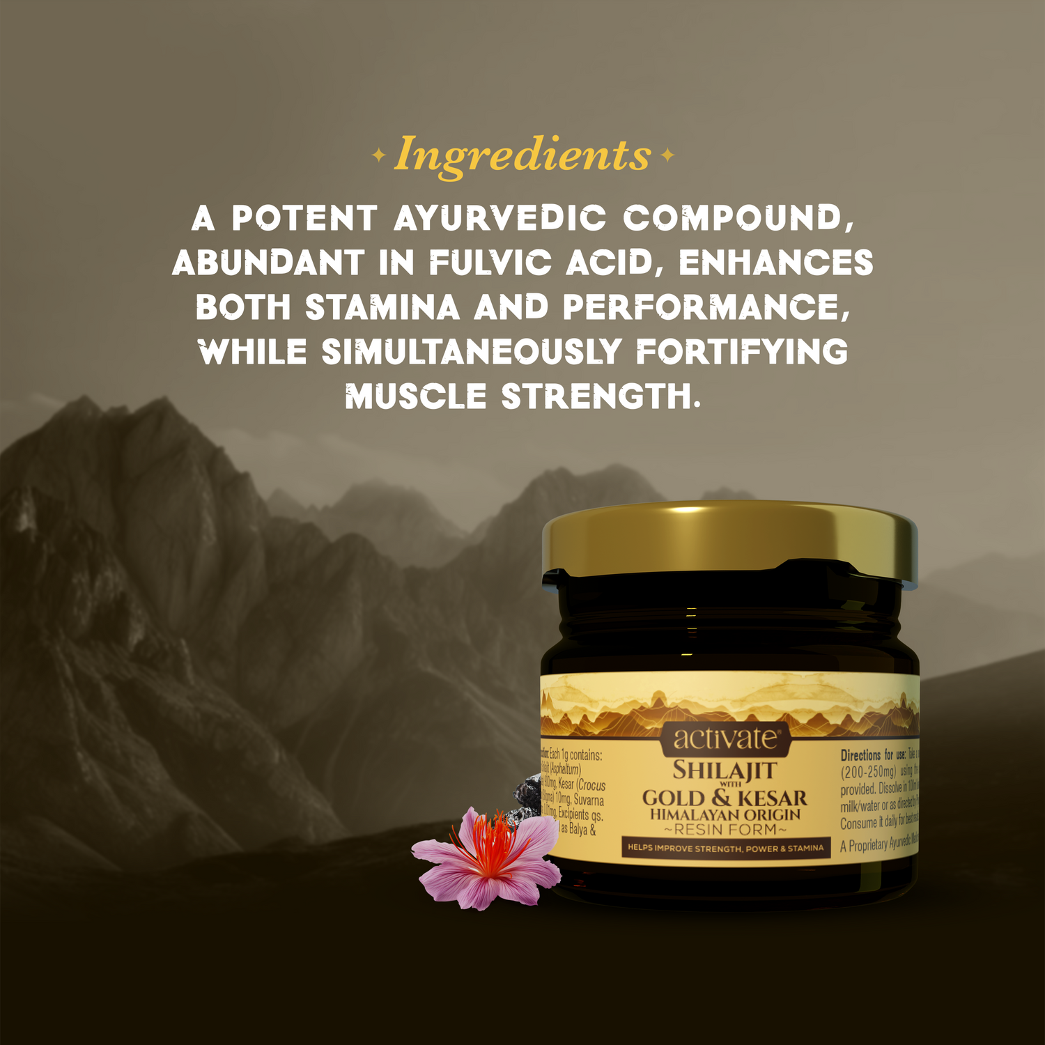 Activate Shilajit with Gold & Kesar – 20g – Himalayan Origin