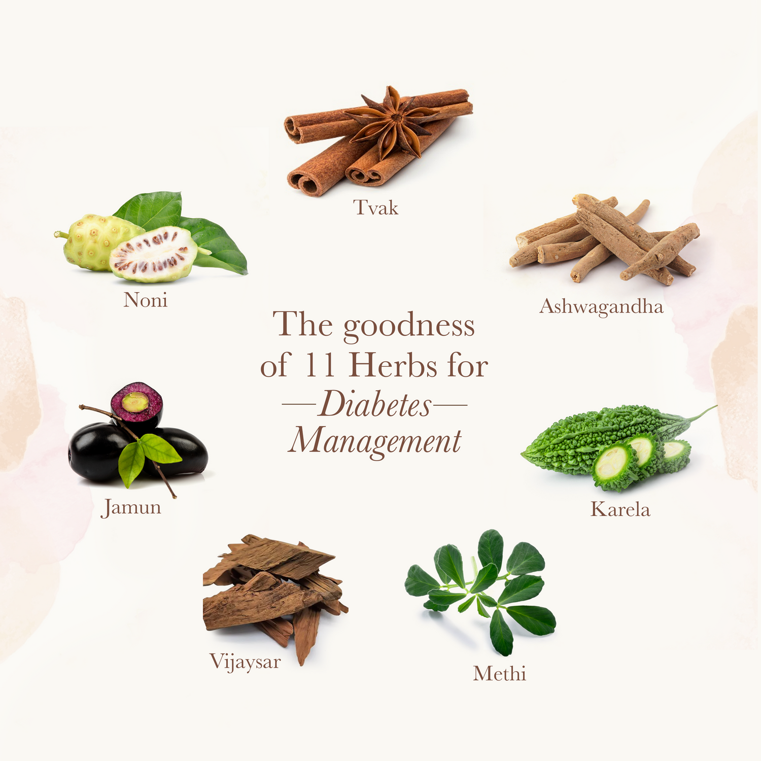 Healthfarm Activate DIABITI KARE - Control Your Diabetes