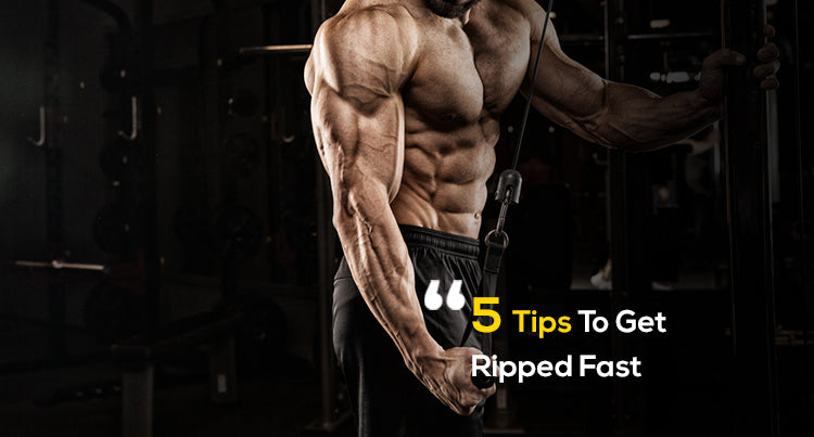 The Basics Of Building Muscle | 5 Tips To Get Ripped Fast