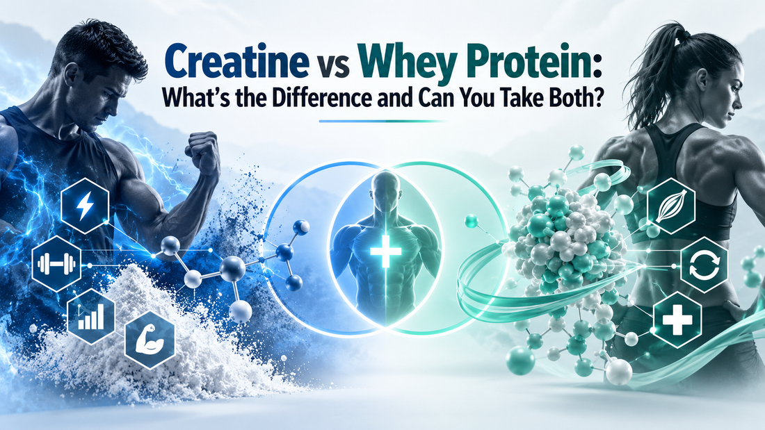 Creatine vs Whey Protein: What’s the Difference and Can You Take Both?