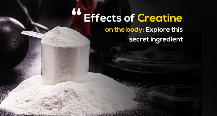 Effects of Creatine on the body: Explore this secret ingredient