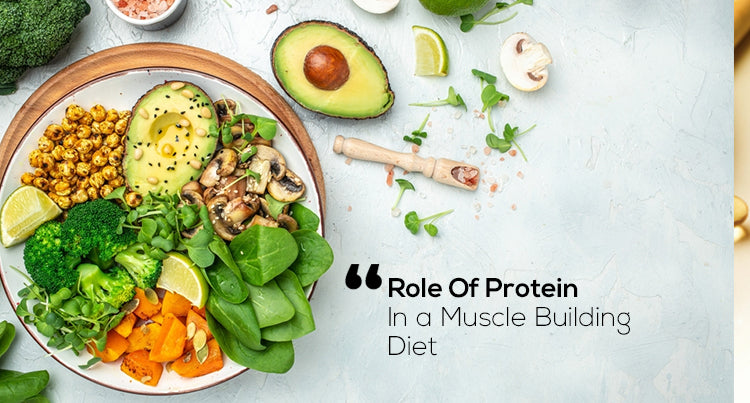 The Role of Protein in a Muscle Building Diet