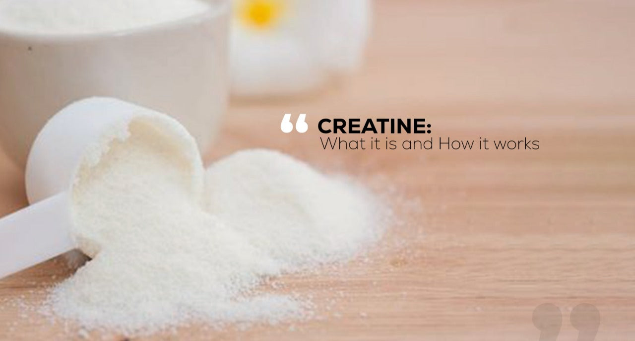 Creatine: What It Is and How It Works