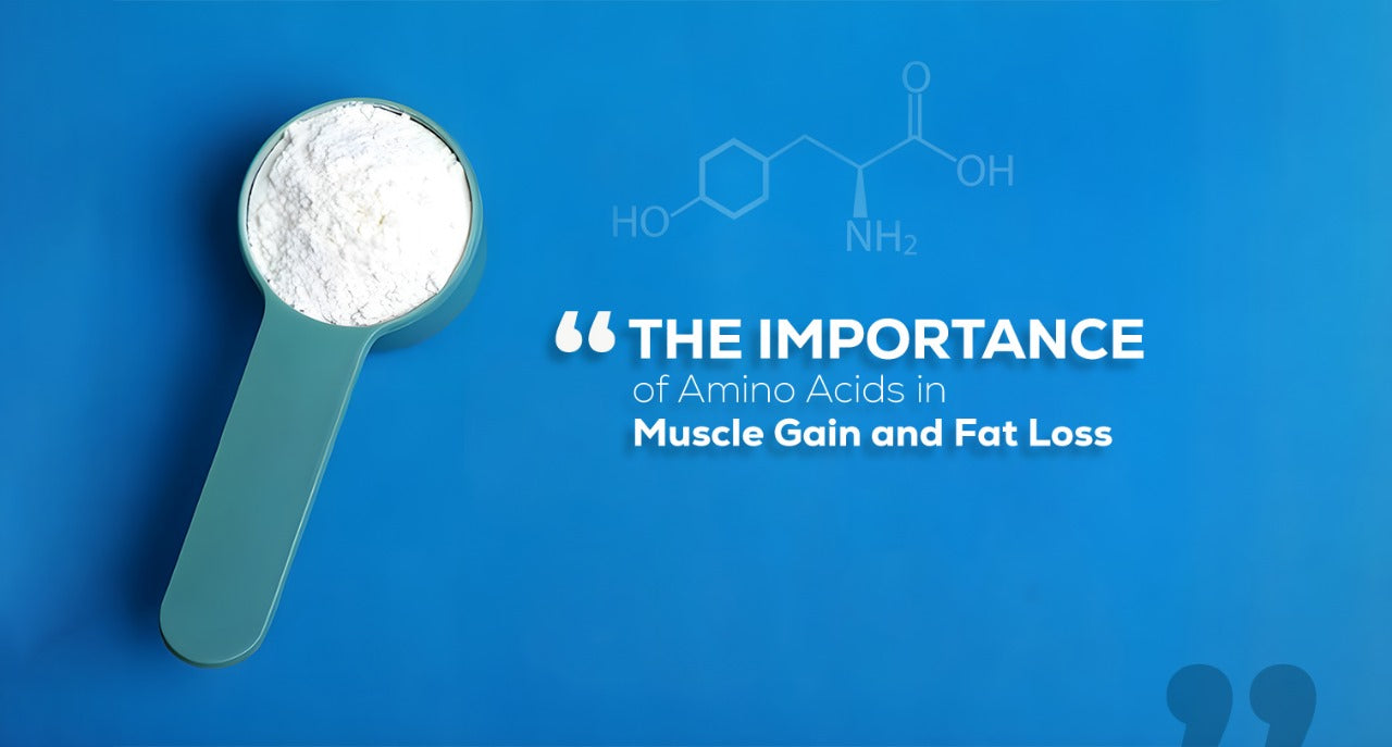 The Importance of Amino Acids in Muscle Gain and Fat Loss