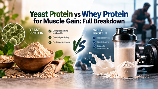 Yeast Protein vs Whey Protein for Muscle Gain: Full Breakdown
