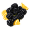 BLACKBERRY LEMONADE