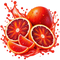 BLOOD ORANGE