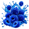 BLUE RAZ