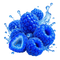 BLUE RASPBERRY