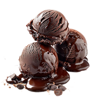 DOUBLE RICH CHOCOLATE