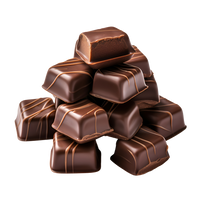 DOUBLE RICH CHOCOLATE