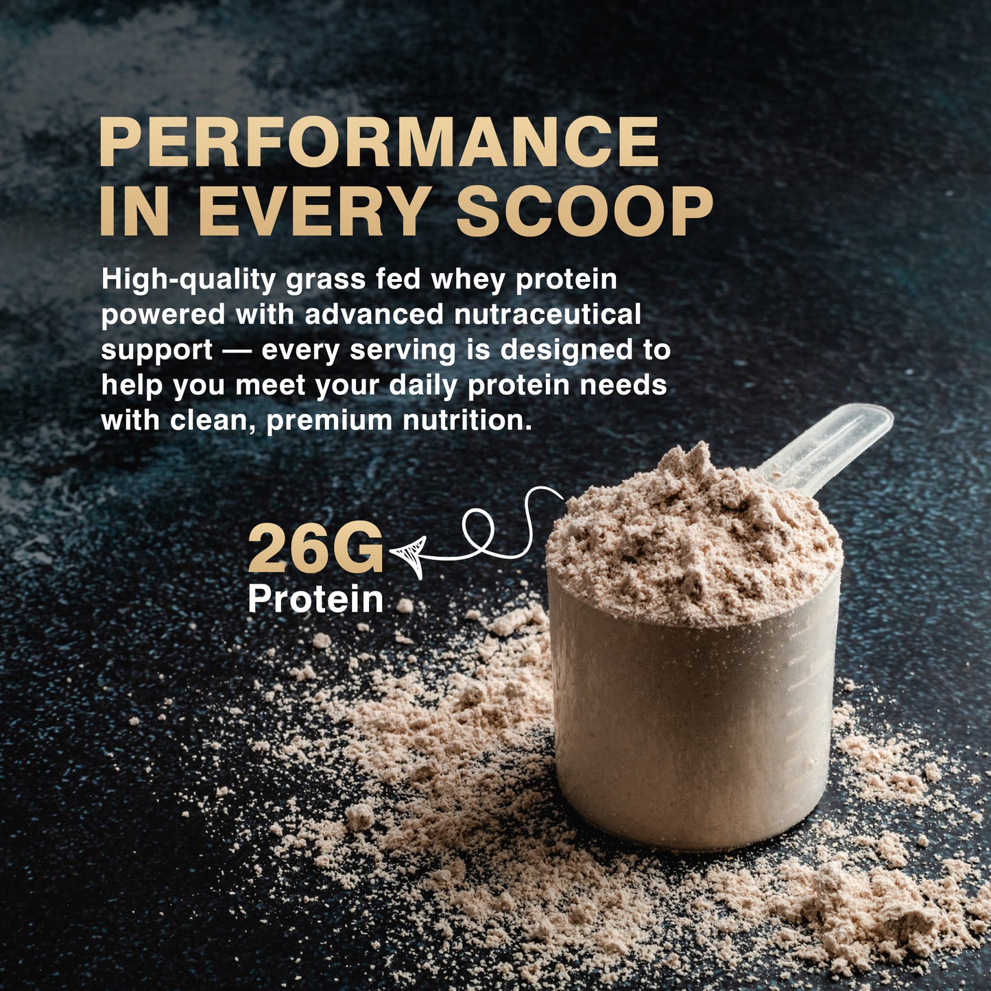 MuscelBond Gold Whey – Grass Fed Whey Protein | 26g Protein per Serving