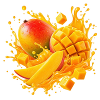 MANGO MADNESS