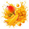 MANGO MADNESS